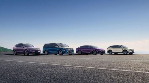 嵐圖汽車謀變 產(chǎn)品與技術(shù)雙輪驅(qū)動(dòng)，沖刺港股奔赴新戰(zhàn)場(chǎng)