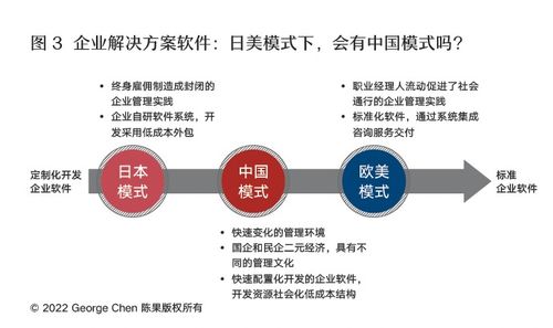 中國模式 企業(yè)管理軟件的突圍、融合與超越