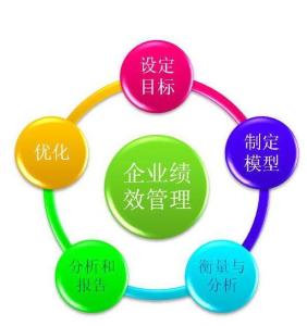 企業(yè)績效管理軟件開發(fā) 驅動組織卓越的關鍵引擎